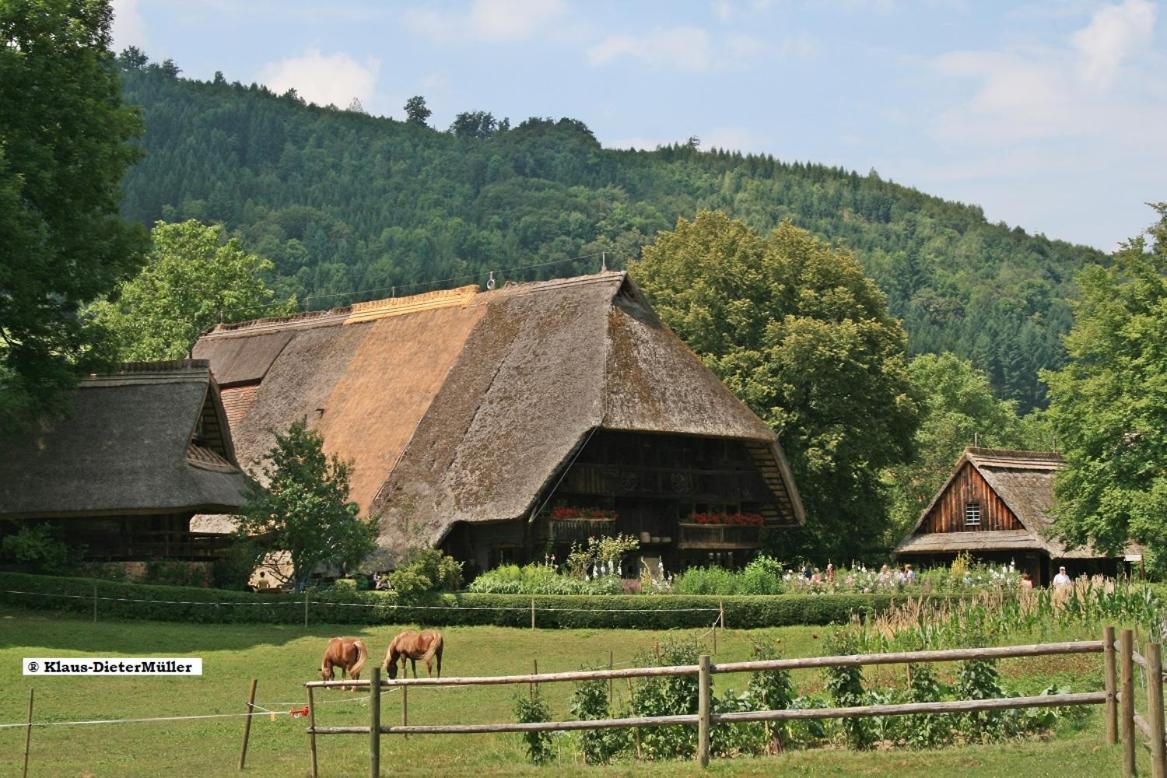 Haus Am Waldrand Vila Triberg im Schwarzwald Exterior foto