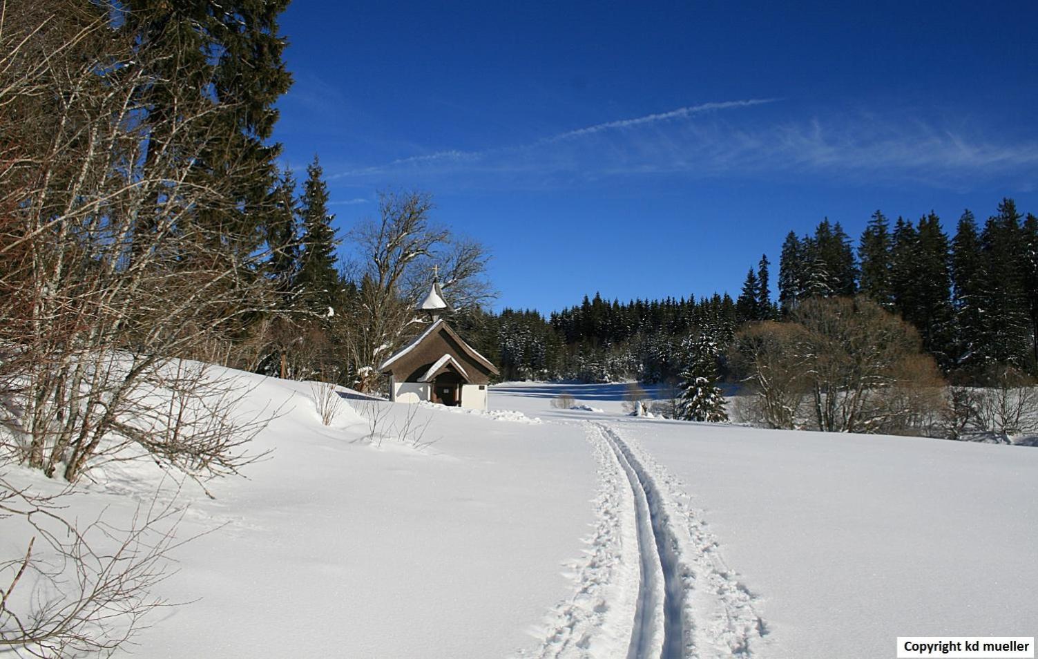 Haus Am Waldrand Vila Triberg im Schwarzwald Exterior foto