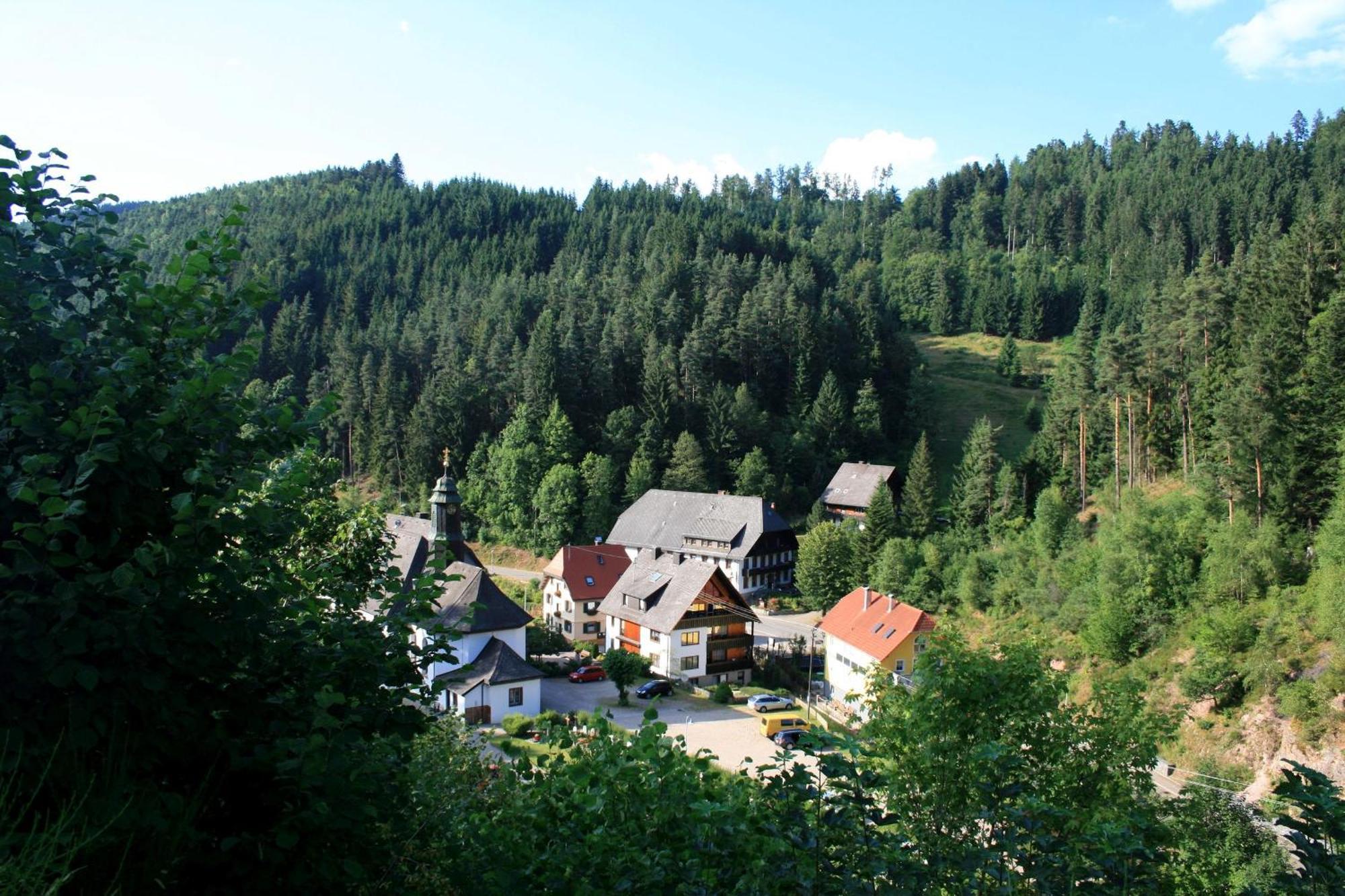 Haus Am Waldrand Vila Triberg im Schwarzwald Exterior foto