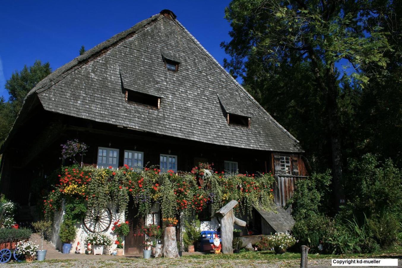 Haus Am Waldrand Vila Triberg im Schwarzwald Exterior foto