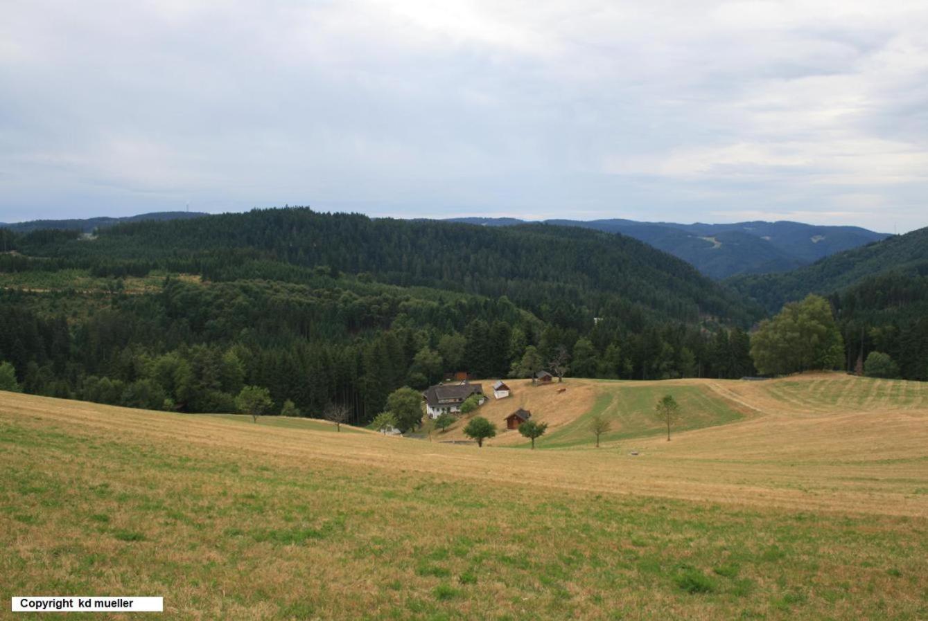 Haus Am Waldrand Vila Triberg im Schwarzwald Exterior foto