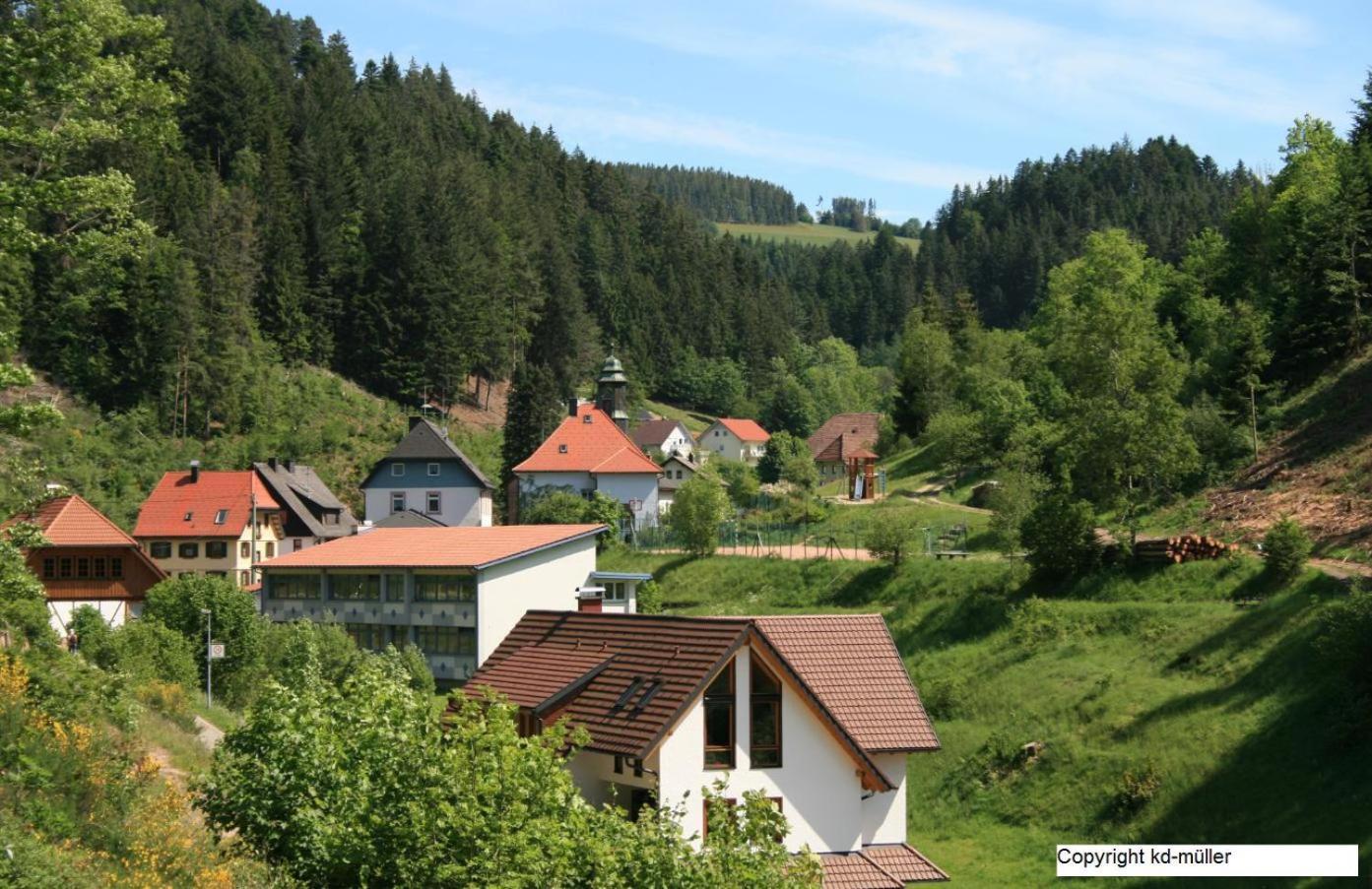 Haus Am Waldrand Vila Triberg im Schwarzwald Exterior foto