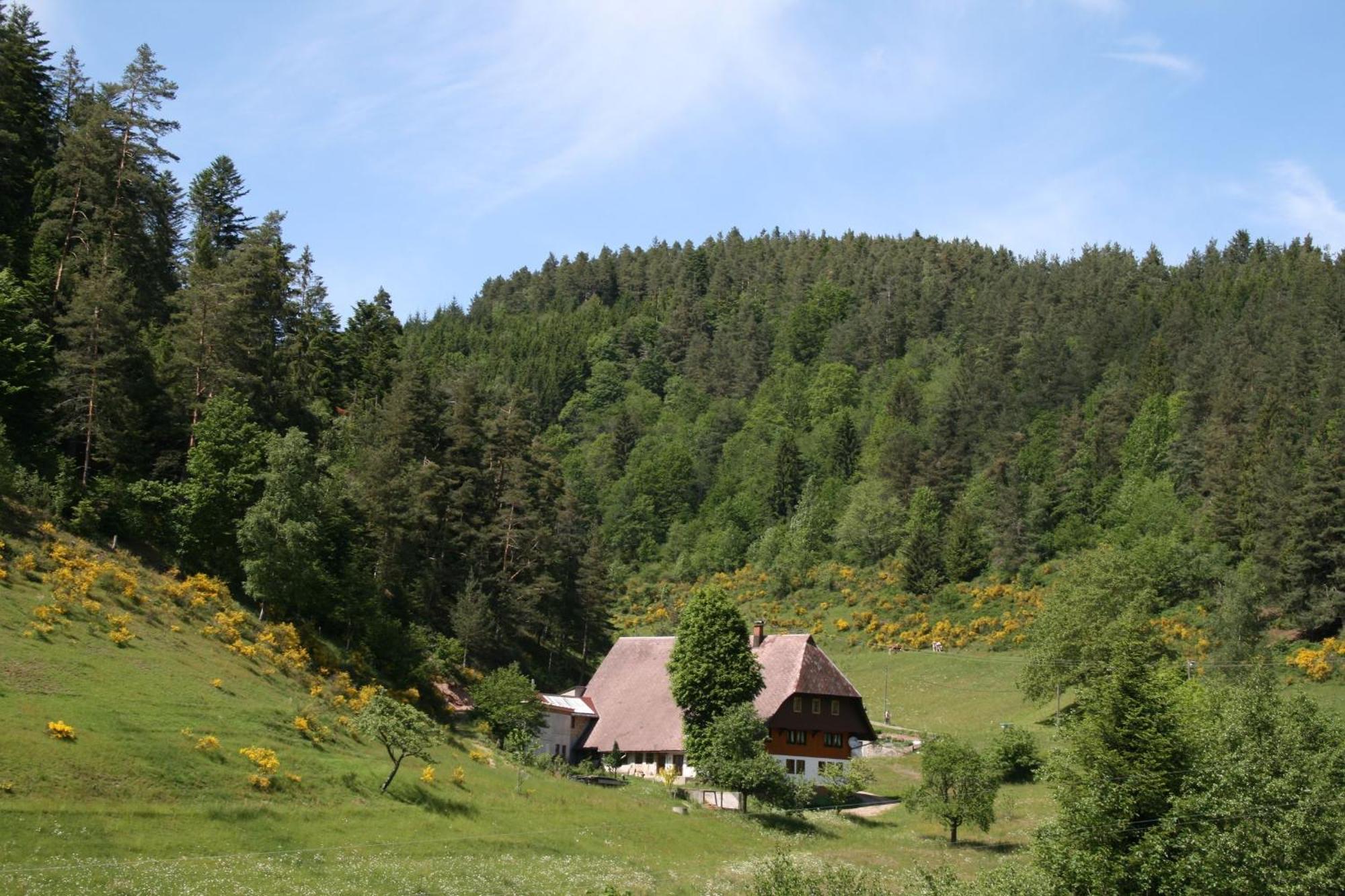 Haus Am Waldrand Vila Triberg im Schwarzwald Exterior foto