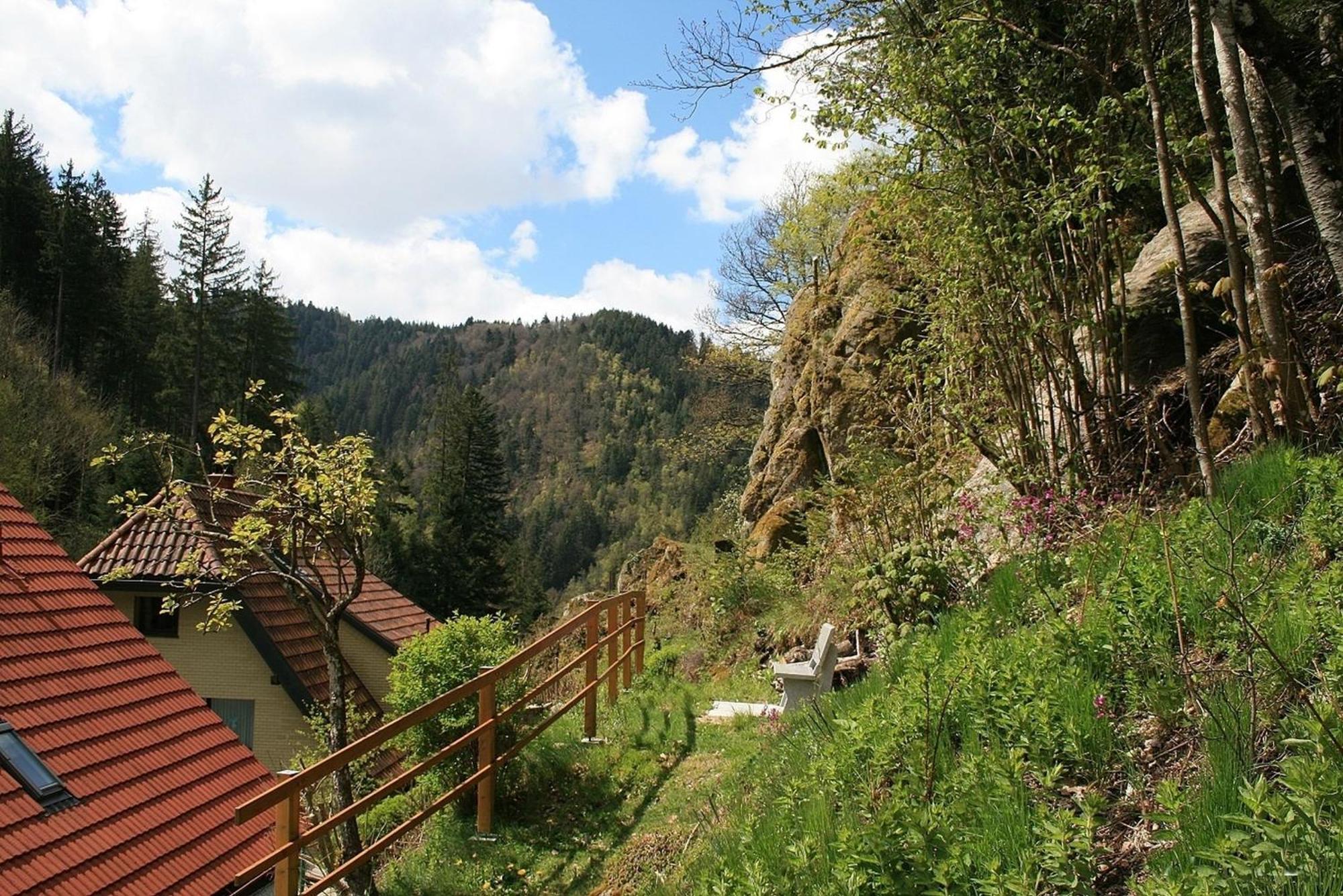 Haus Am Waldrand Vila Triberg im Schwarzwald Exterior foto