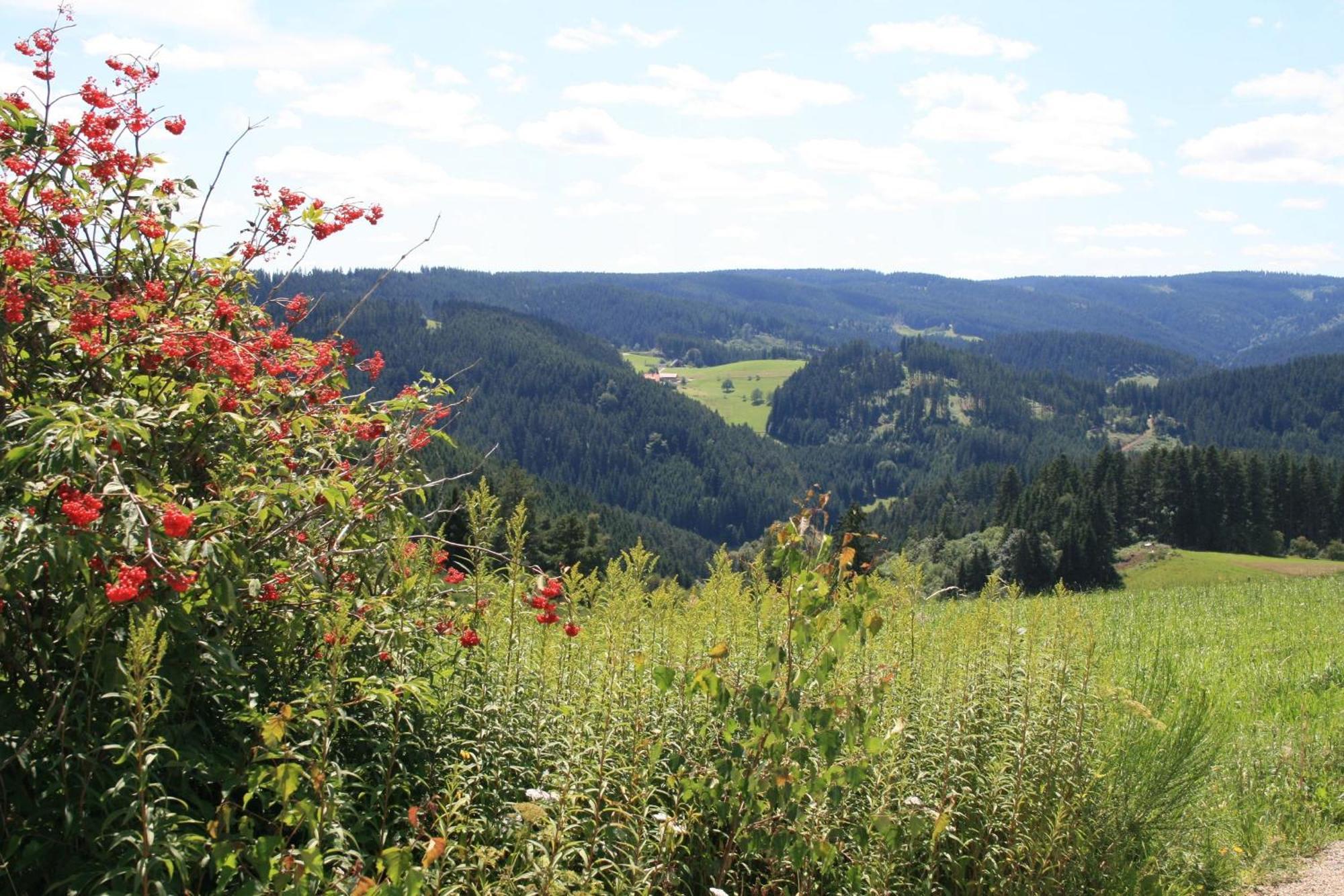 Haus Am Waldrand Vila Triberg im Schwarzwald Exterior foto